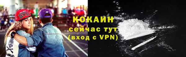 гашик Каменка