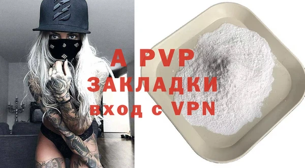 крисы Кодинск