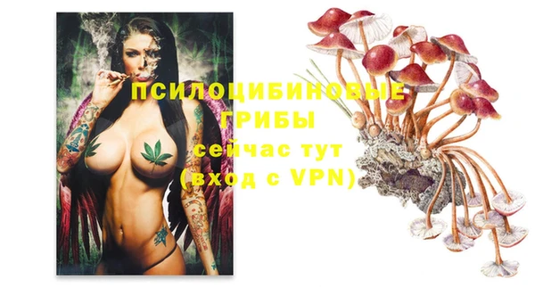 амфетамин Козельск
