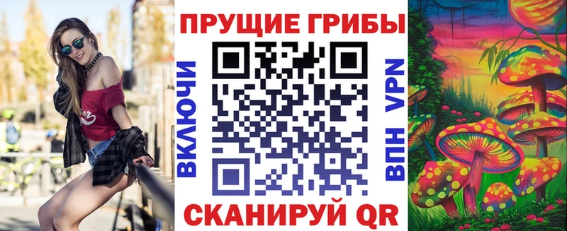 Псилоцибиновые грибы Psilocybe  как найти закладки  Коркино 