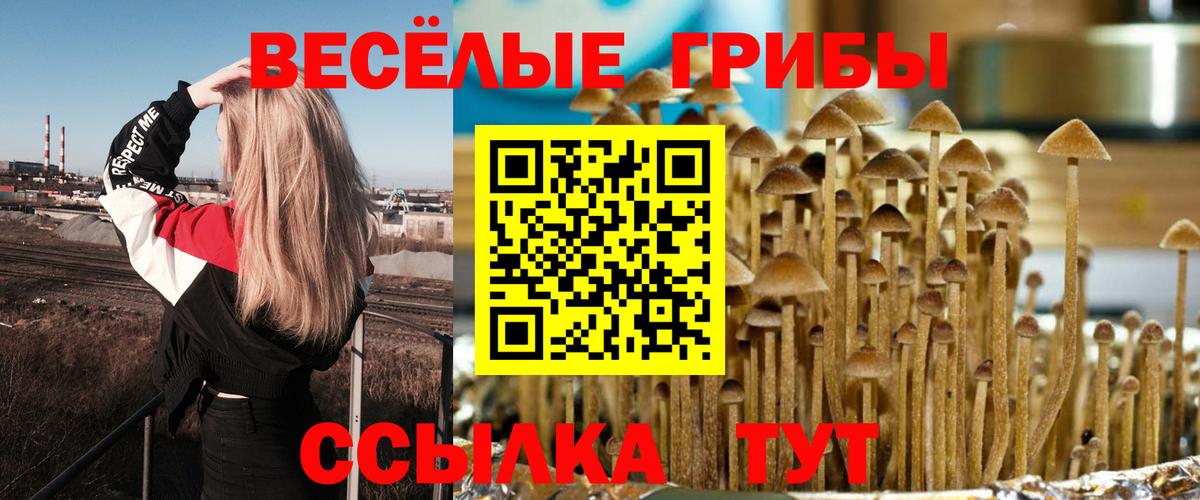 Галлюциногенные грибы MAGIC MUSHROOMS  Вход с VPN  Коркино 